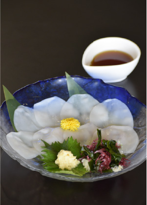 やりいか刺身